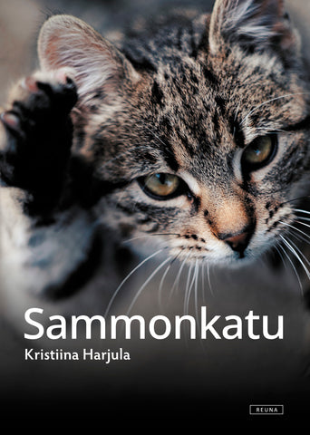 Sammonkatu